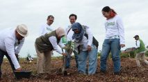 Direktur TKTRH Kemenhut RI Ir Handayaningsih, didampingi Direktur PT SAS Kameswara Helly dan jajaran manajemen group saat menanam perdana bibit di Kawasan Hutan Gambut Londrang. Group PT SAS akan merehabilitasi lahan seluas 2018 hektar dengan total 1,4 juta tanaman.